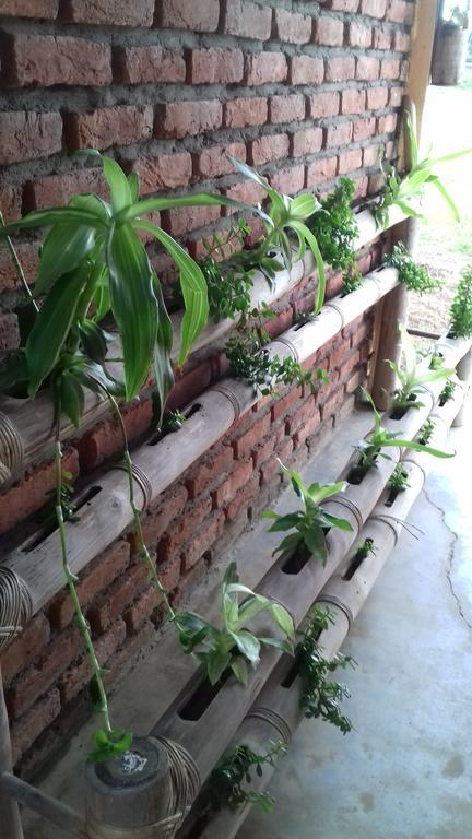 Longchen Homestay Dimapur Exterior photo